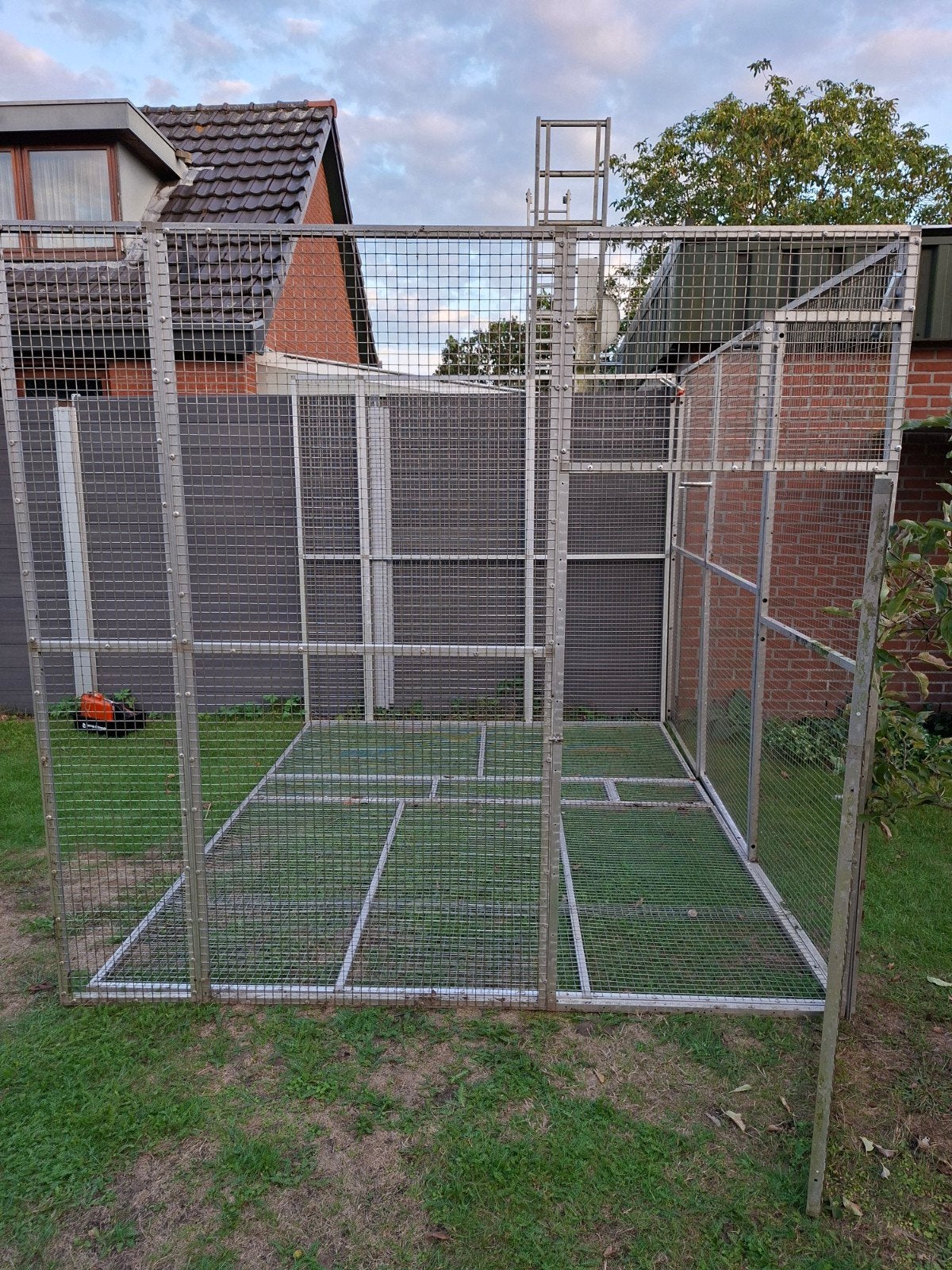 voillere duivenren vogels parkieten kattenverblijf