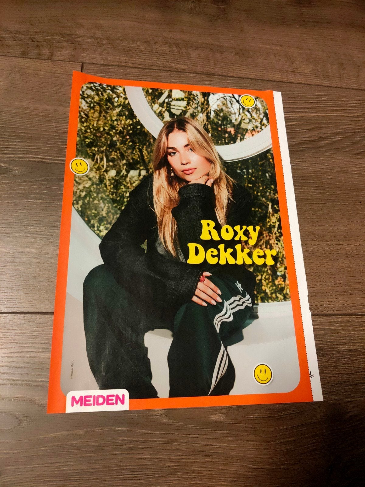 Meiden - Roxy Dekker Poster, Ophalen of Verzenden, Nieuw, A1 t/m A3