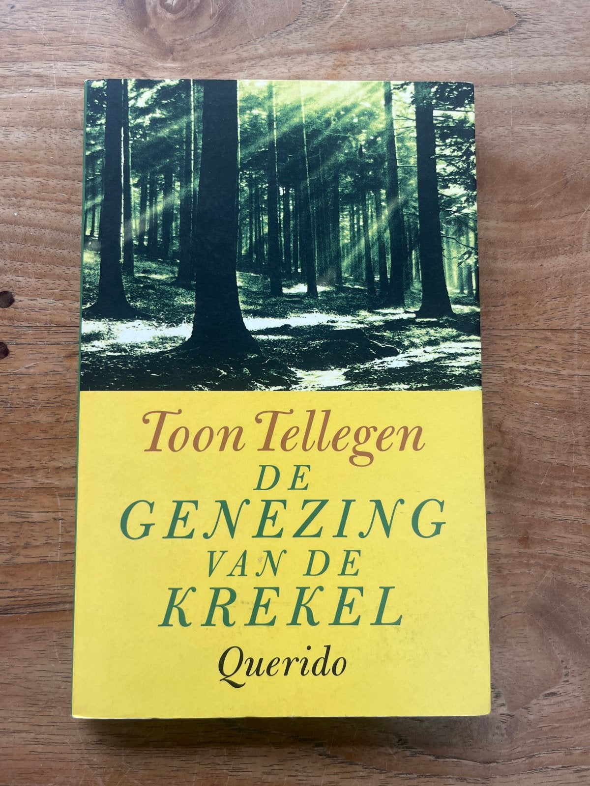 Toon Tellegen - De Genezing van de Krekel, Boeken, Ophalen of Verzenden, Gelezen, Fictie algemeen