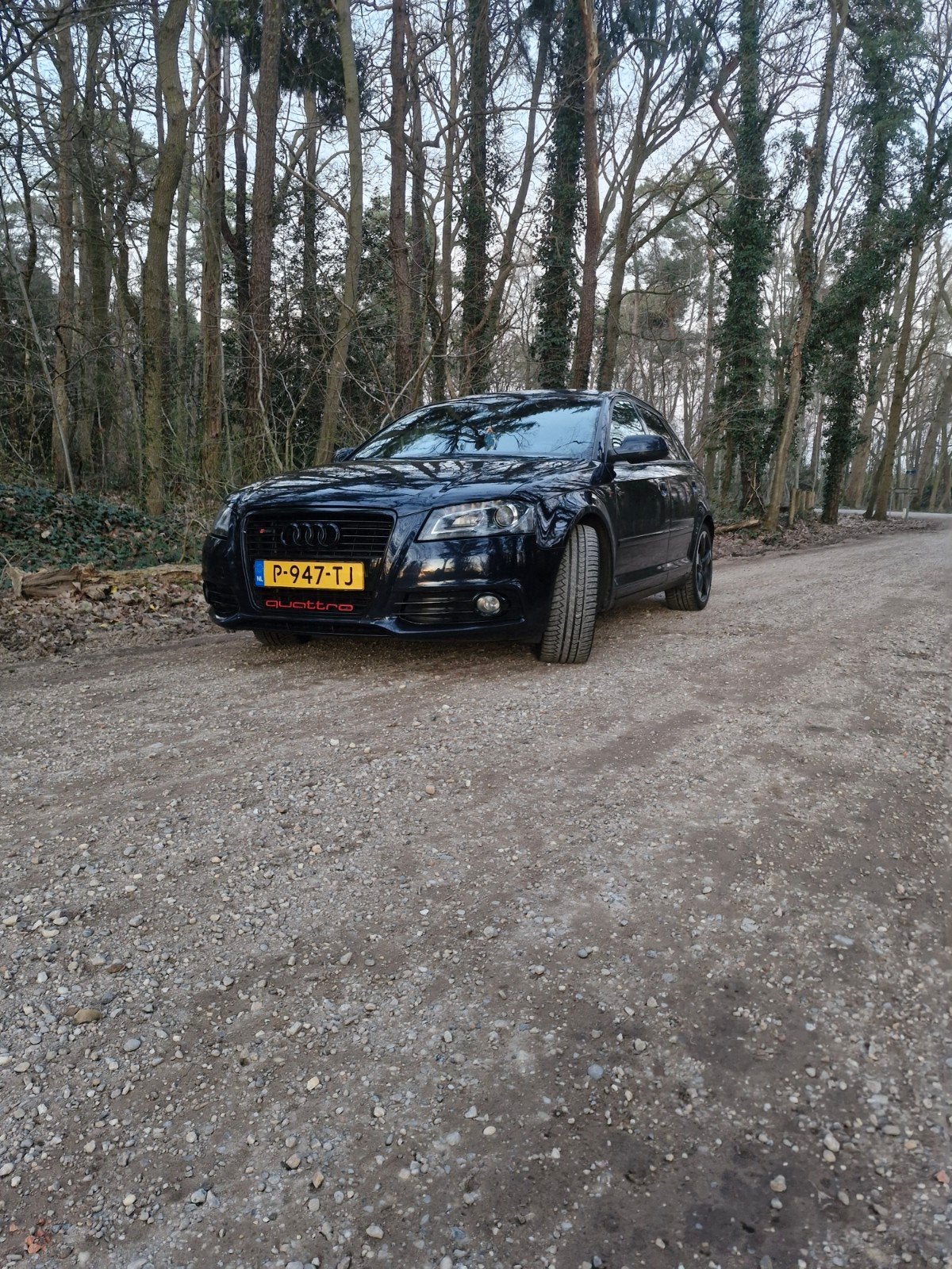 Audi 2012 blauw, nieuw motorblok!, Auto's, Automaat, 4 cilinders, 1984 cc, Leder en Stof