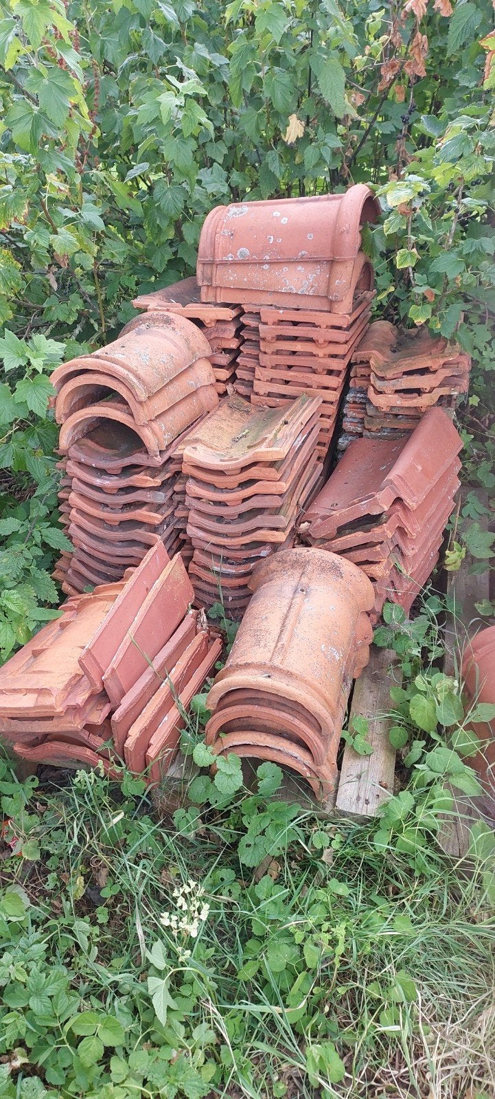Te koop / te ruil dakpannen ( nok, eind, zij- en gewoon), Ophalen, Steen of Klei, 15 m² of meer, Dakpannen