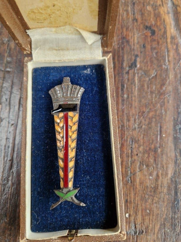 mooie emaille opsteekspeld uit 1935 in origineel doosje, Antiek en Kunst, Ophalen of Verzenden