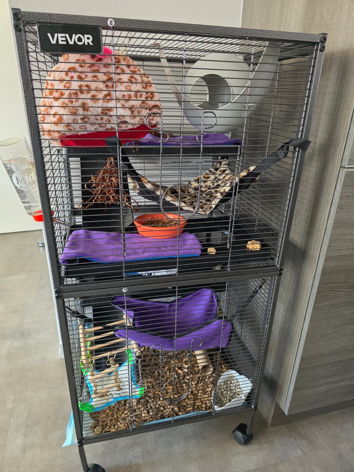 2 tamme ratjes inclusief kooi, Ophalen, Minder dan 75 cm, Zo goed als nieuw, 90 cm of meer