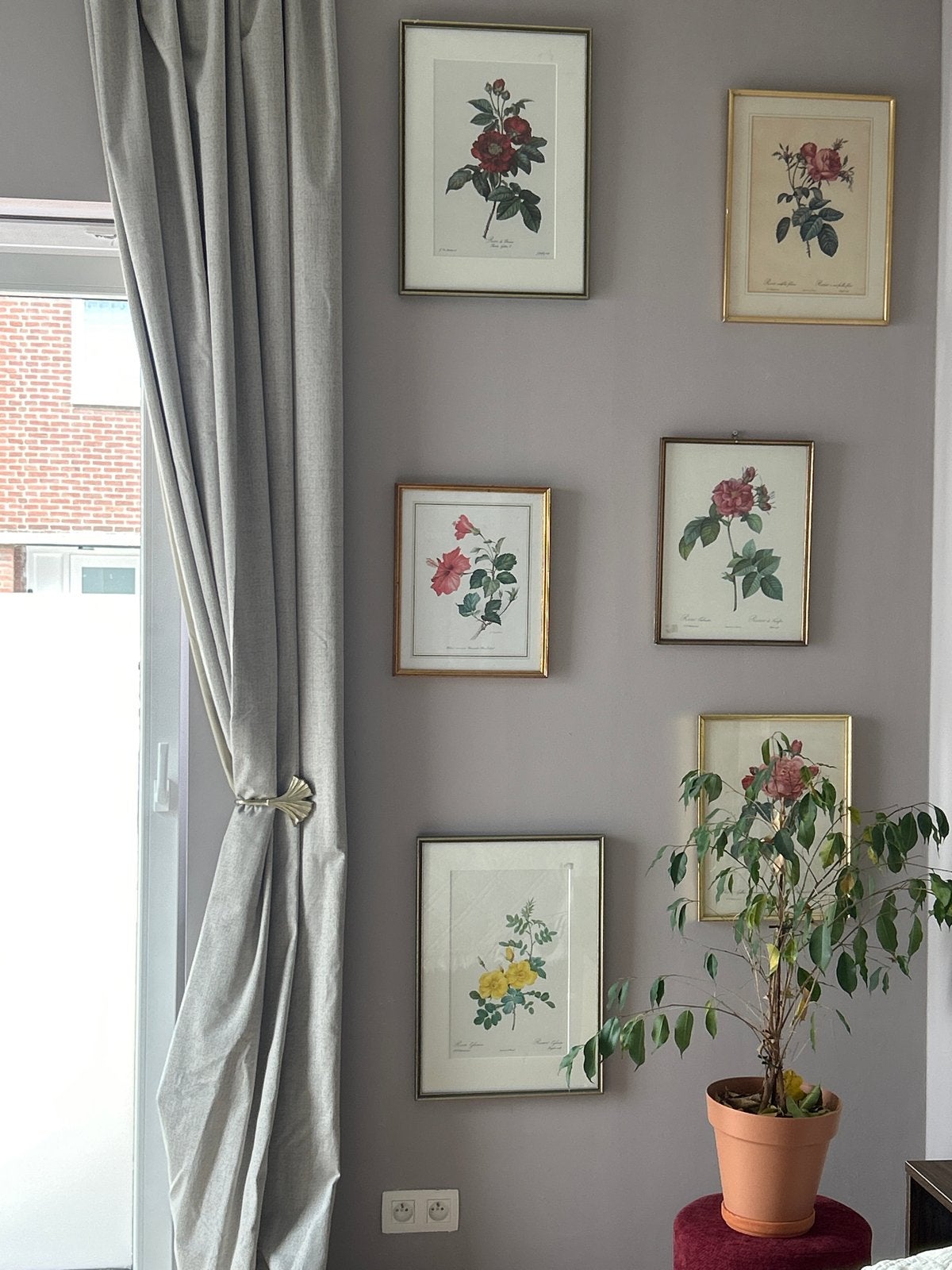 Pierre-Joseph Redouté (1759–1840) Rozen Prints in Lijst, Ophalen, Minder dan 50 cm, Gebruikt, Print