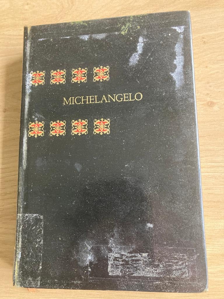 Boek Michelangelo, Boeken, Ophalen of Verzenden, Gelezen
