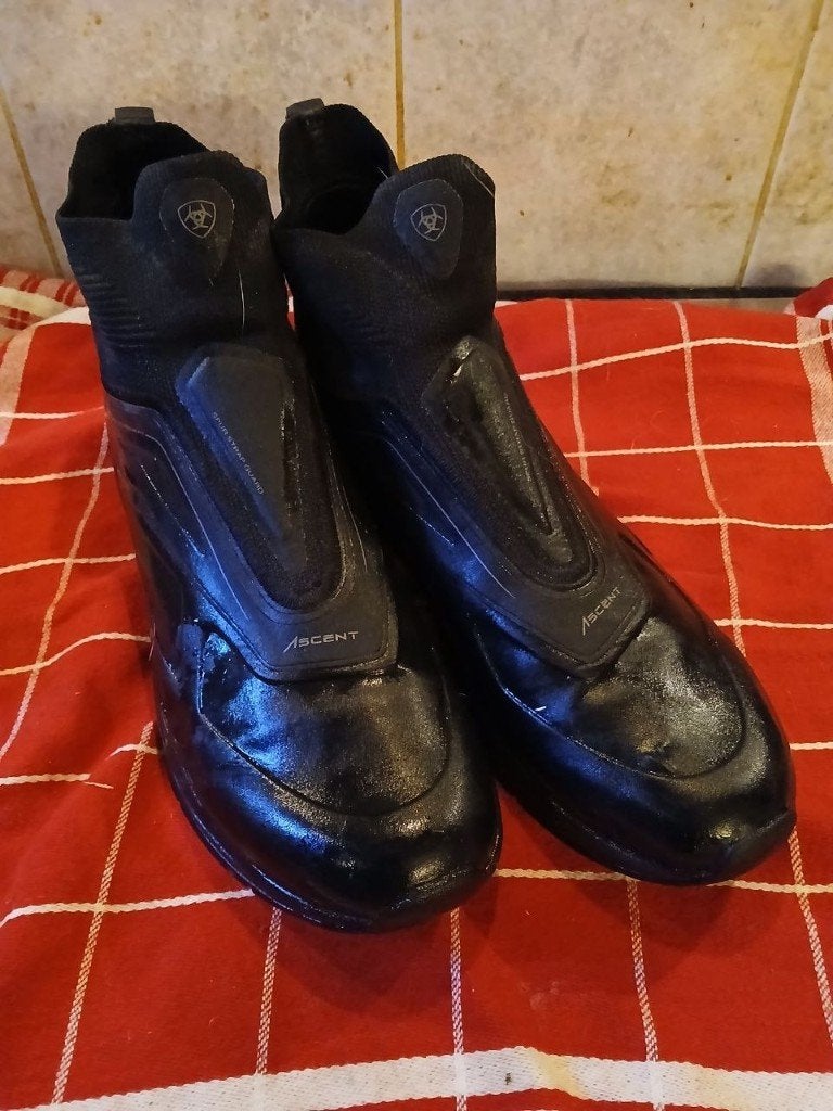 Ariat ascent jodhpurs 40, Gebruikt, Verzenden, Ariat, Veelzijdigheid