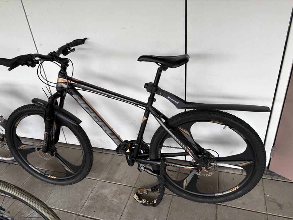 Altec Accrue Mountainbike - Zwart/Goud, Fietsen en Brommers, Fietsen | Mountainbikes en ATB, Gebruikt, Hardtail, Heren, Schijfrem