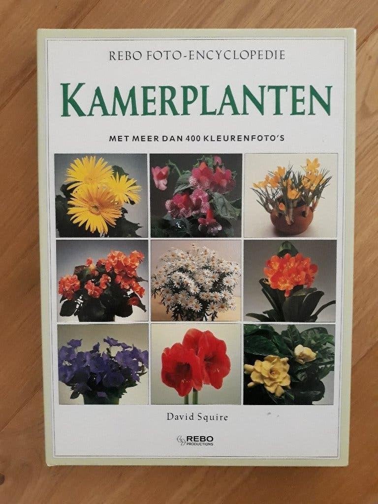 Rebo foto-encyclopedie KAMERPLANTEN, Ophalen of Verzenden, Zo goed als nieuw, Bloemen, Planten en Bomen