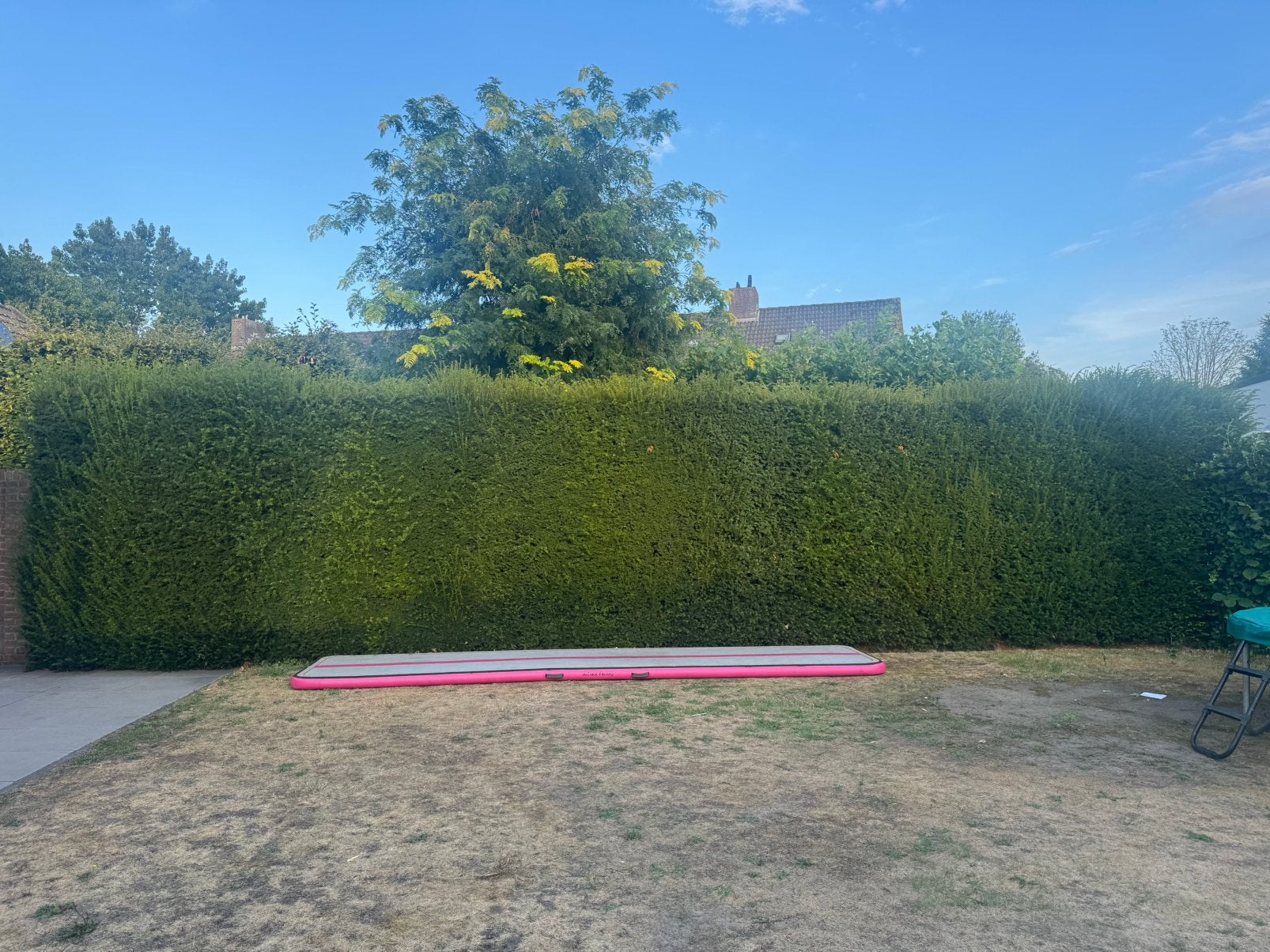 Taxushaag gratis af te halen – ca. 12m x 2,40m, Ophalen, Taxus, Haag, 100 tot 250 cm