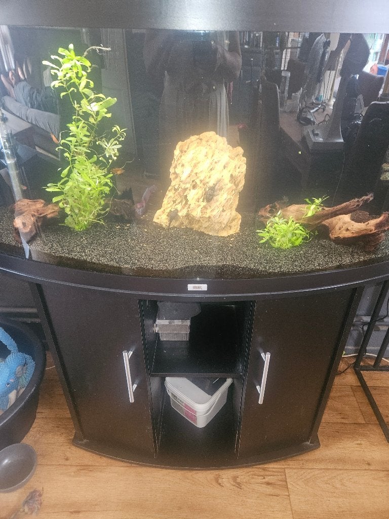 Aquarium, Ophalen, Gebruikt, Gevuld zoetwateraquarium, Inclusief vissen