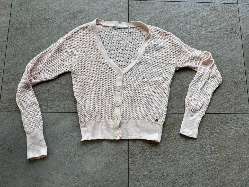 Leuk licht roze steps vest maat xl, Ophalen of Verzenden, Zo goed als nieuw, Maat 46/48 (XL) of groter, Roze