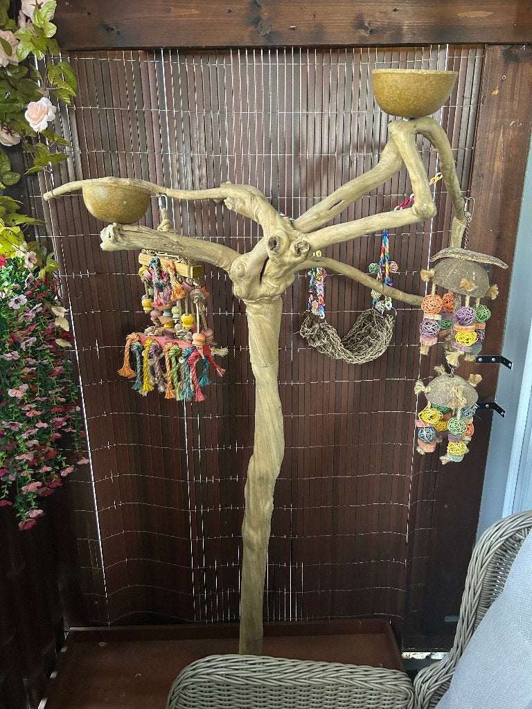 Speelboom papegaai, Ophalen, Nieuw, Speelgoed