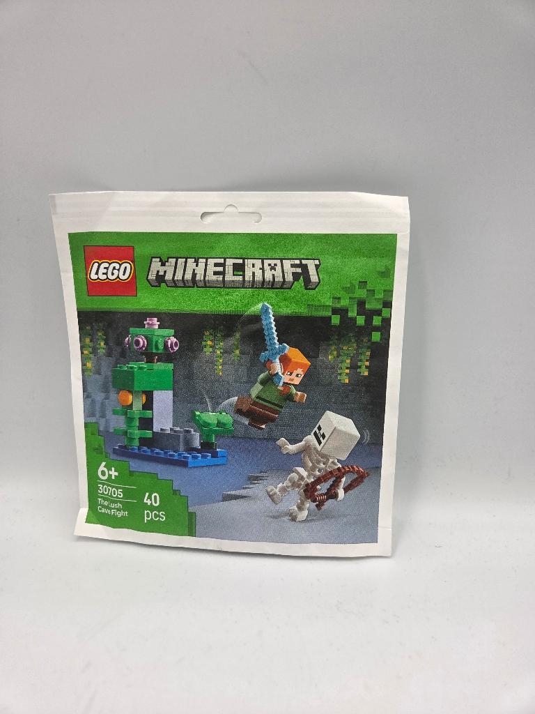 Lego Mincraft 30705 The Lush Cave Fight paper bag / polybag, Minecraft, Nieuw, Ophalen of Verzenden, Complete set