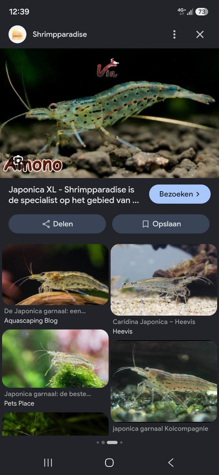 gezocht garnalen xl