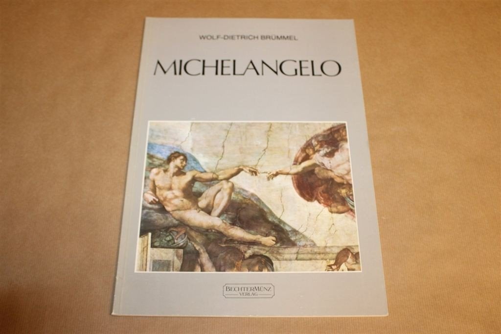 Michelangelo — Kunstboek, Groot Formaat, Duitstalig, Ophalen of Verzenden, Gelezen