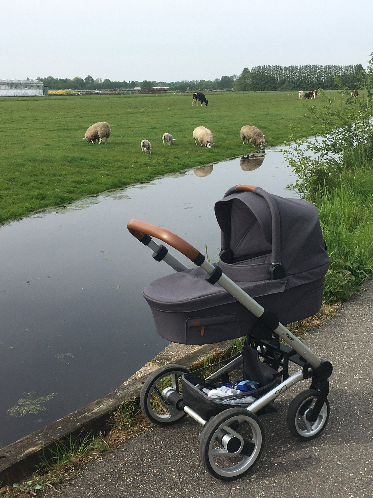 Mutsy Nio kinderwagen, Gebruikt, Met reiswieg, Mutsy, Ophalen