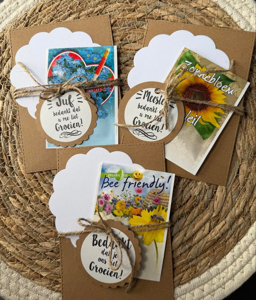 Juf/Meester cadeautje: Bloemenzaadjes met kaartje, Hobby en Vrije tijd, Knutselen, Handgemaakt, Nieuw, Meerkleurig, Papier of Karton
