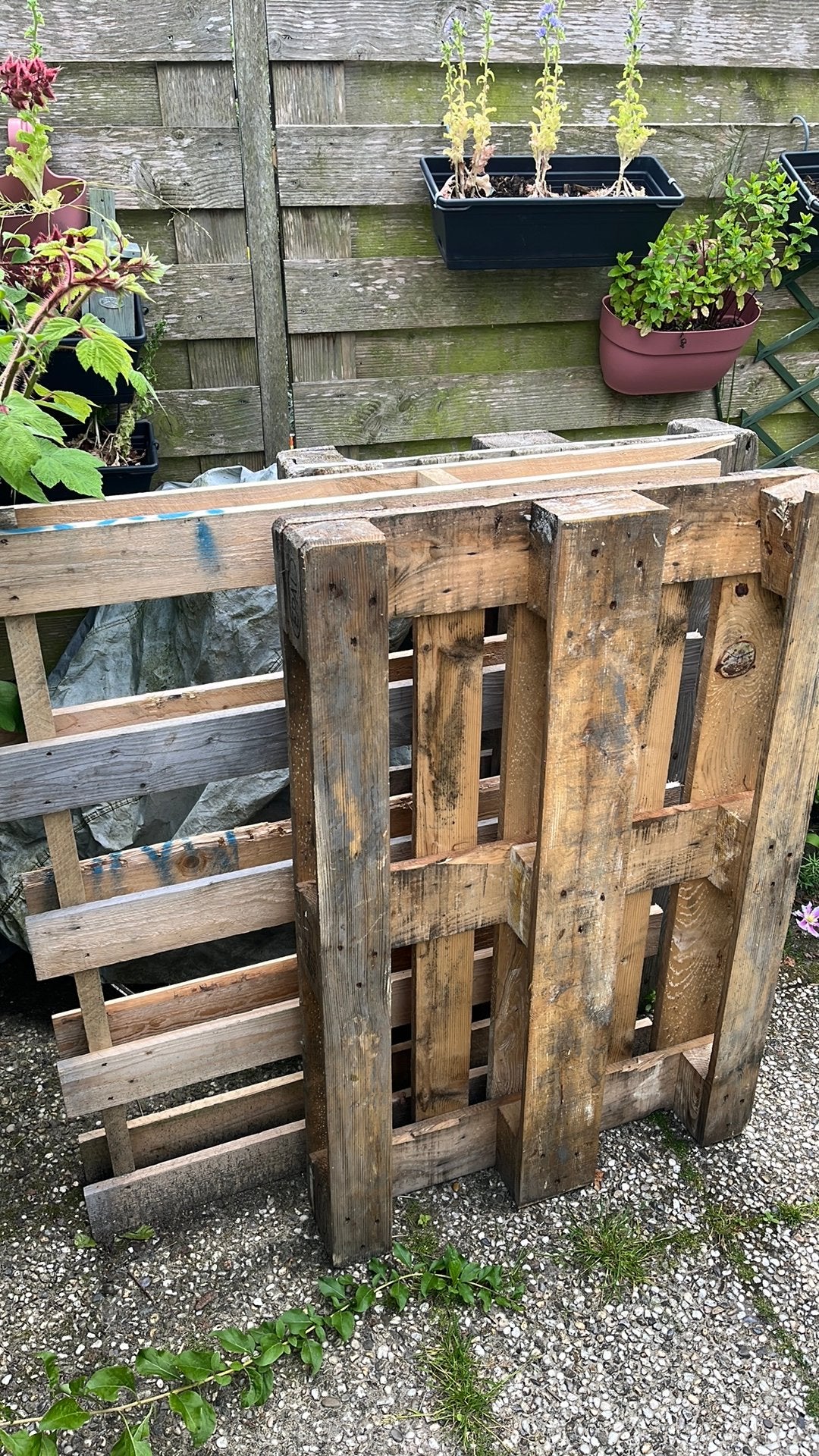 Drie pallets, gratis, Doe-het-zelf en Verbouw, Hout en Planken, Ophalen, Gebruikt, Pallet, Minder dan 200 cm