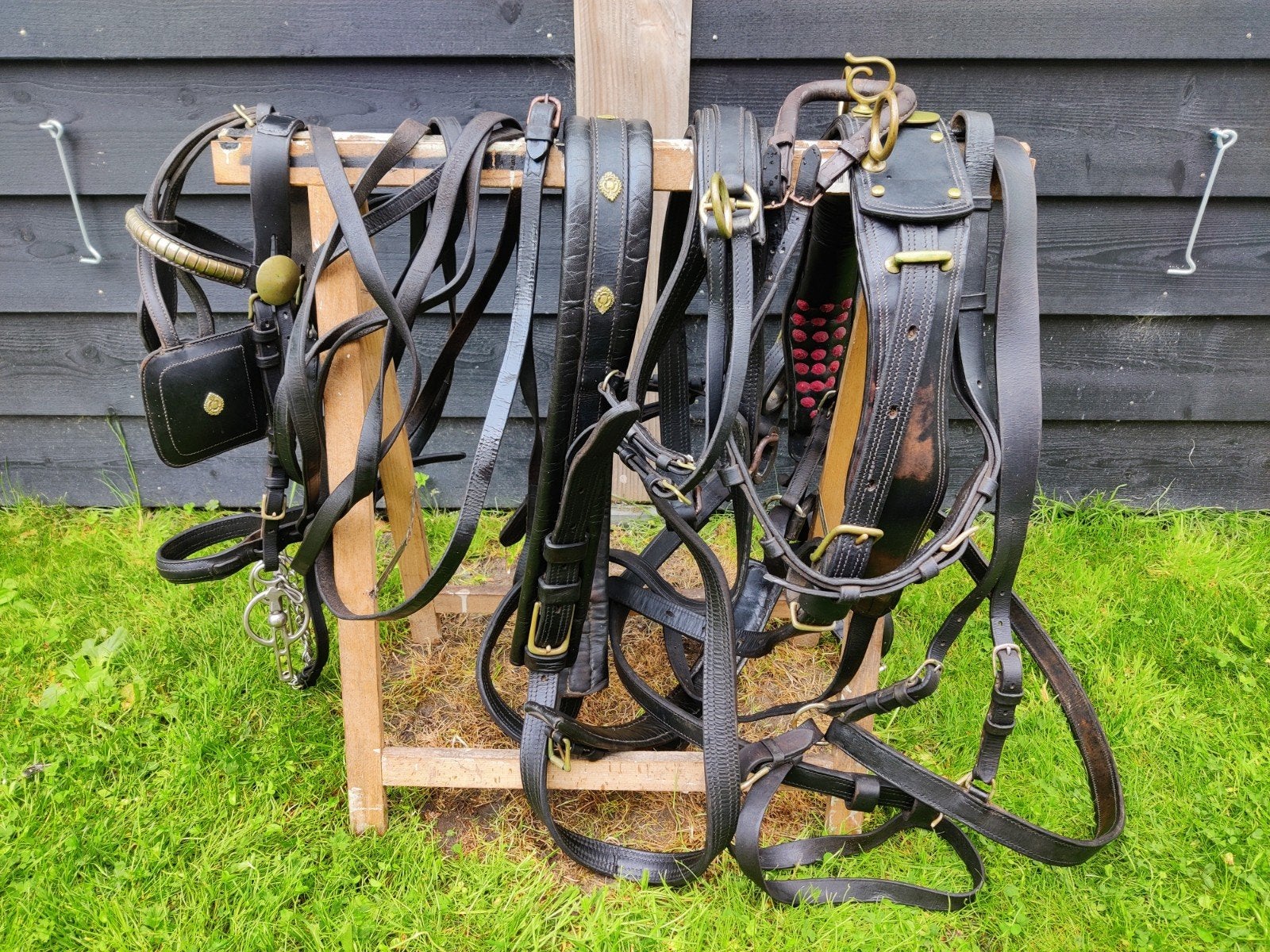 Tuig leer maat full, Dieren en Toebehoren, Ophalen, Full