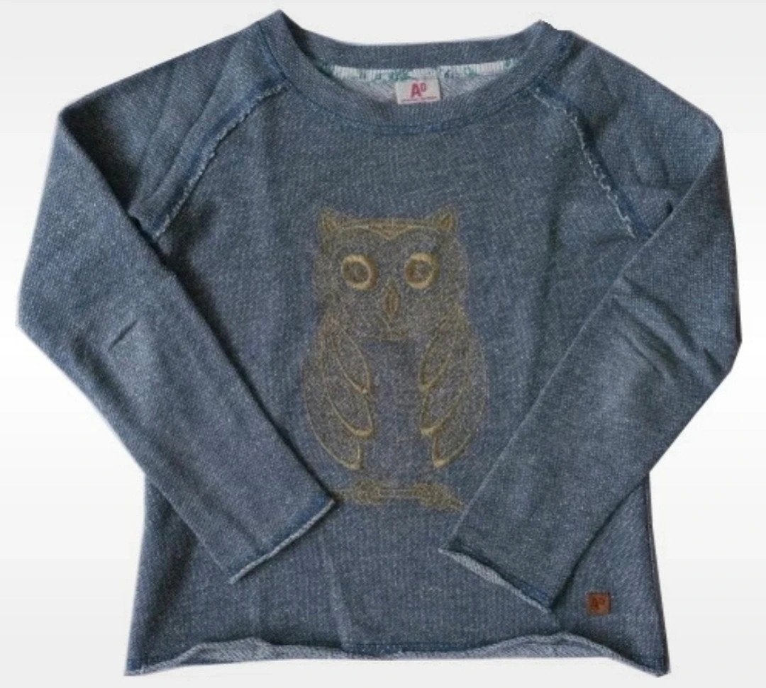 Leuke trui met uil American Outfitters  maat 128 (ook 122), Ophalen of Verzenden, Gebruikt, Meisje, Trui of Vest
