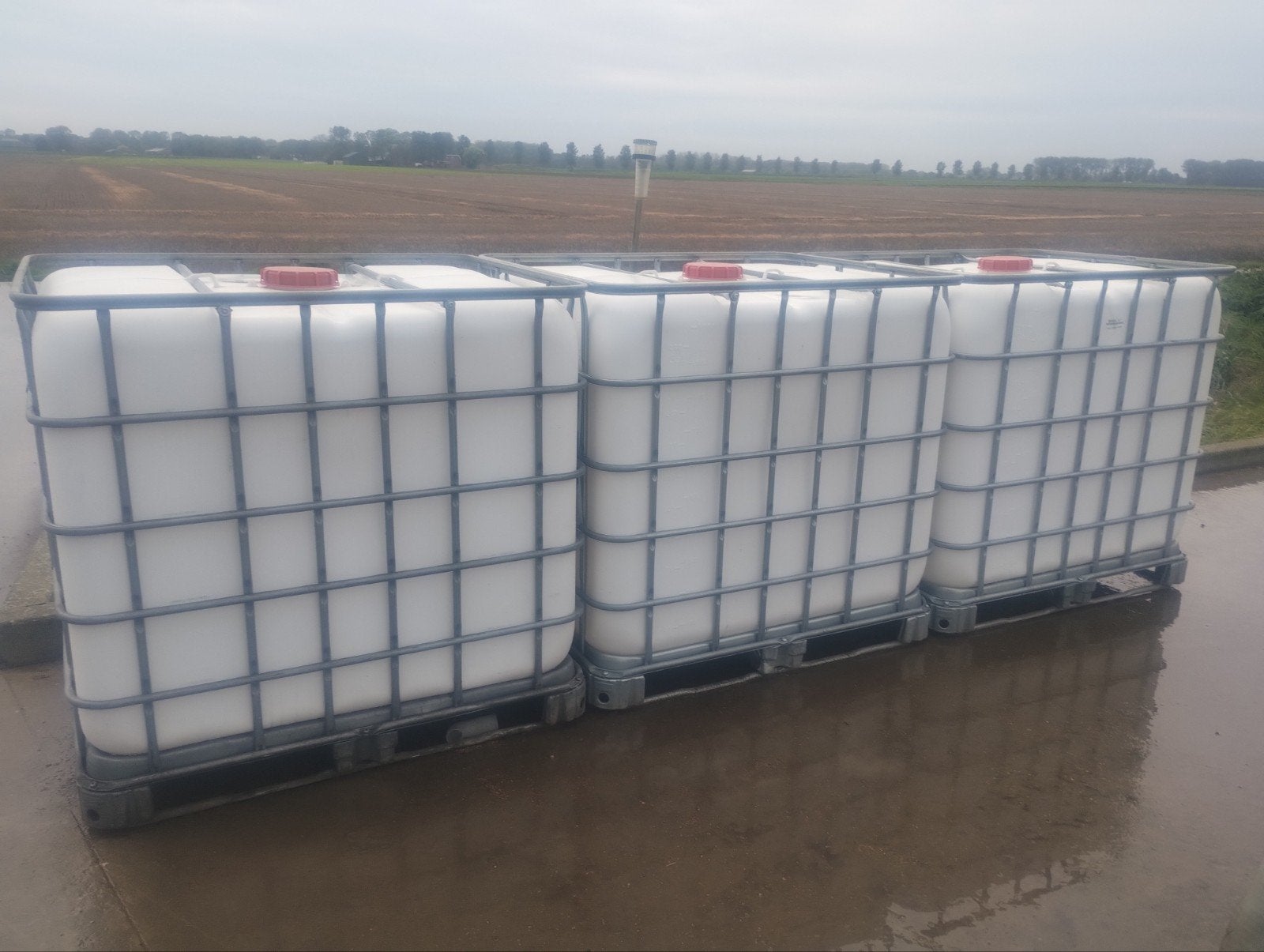 3 IBC containers van 1000 liter voor regenwater/hout, Doe-het-zelf en Verbouw, Ophalen, Gebruikt