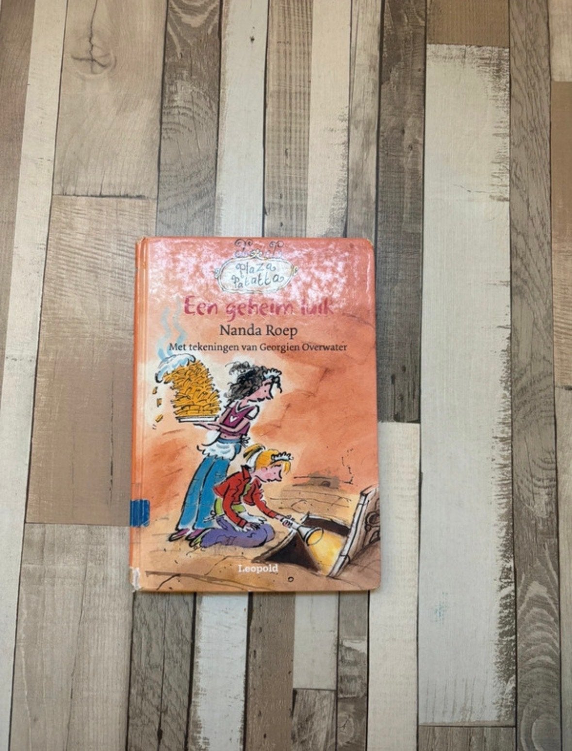Plaza Patatta: Een geheim luik - Nanda Roep, Boeken, Kinderboeken | Jeugd | onder 10 jaar, Ophalen, Gelezen, Fictie algemeen