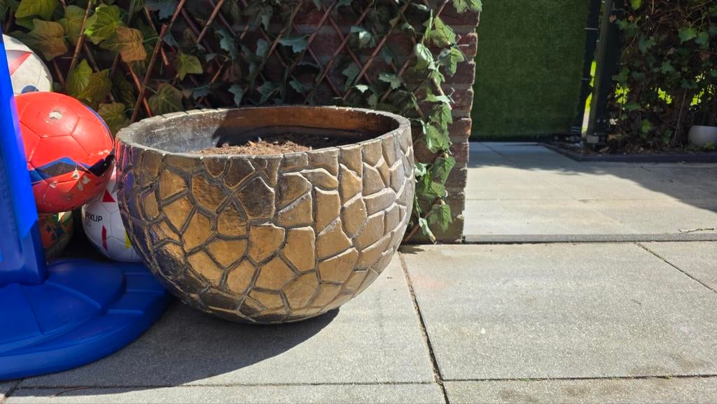 Mooi Plantbak, Ophalen of Verzenden, Rond, Hout, Minder dan 30 cm