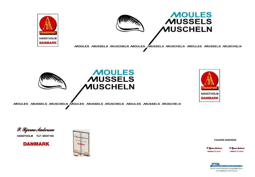 Vrachtauto decal 1:50 P. Bjarne Andersen ( type 2 ), Verzenden, Nieuw, Bus of Vrachtwagen, Overige merken