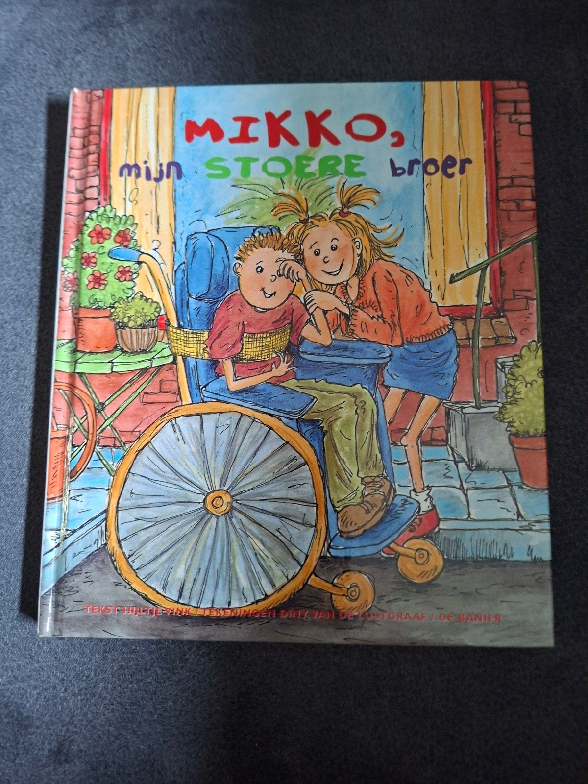 Mikko, mijn stoere broer - Kinderboek over handicap, Ophalen of Verzenden, Zo goed als nieuw, Hilde E. van der Graaf, Fictie algemeen