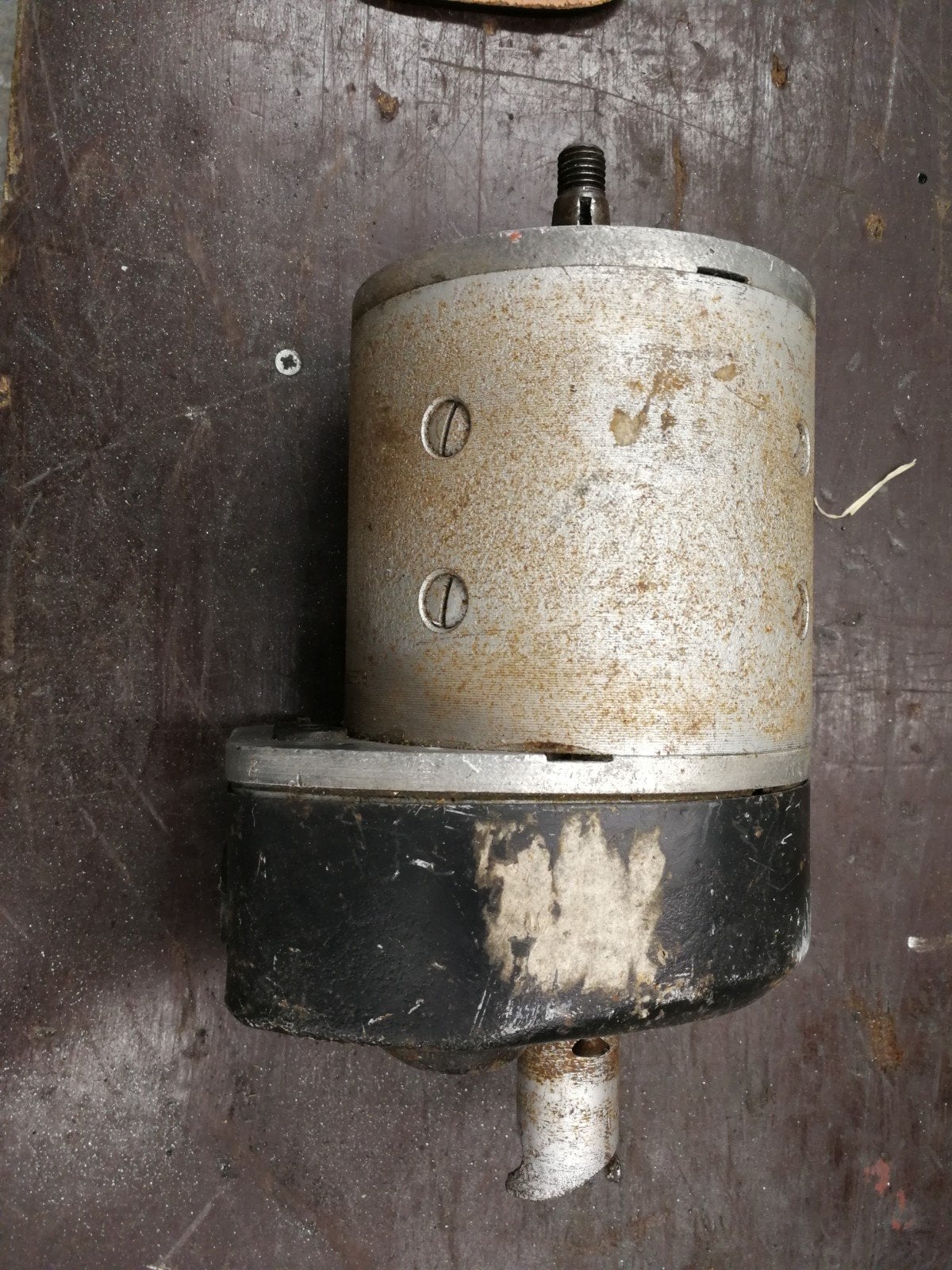 Dynamo Opel laubfrosch 1924., Ophalen of Verzenden, Opel