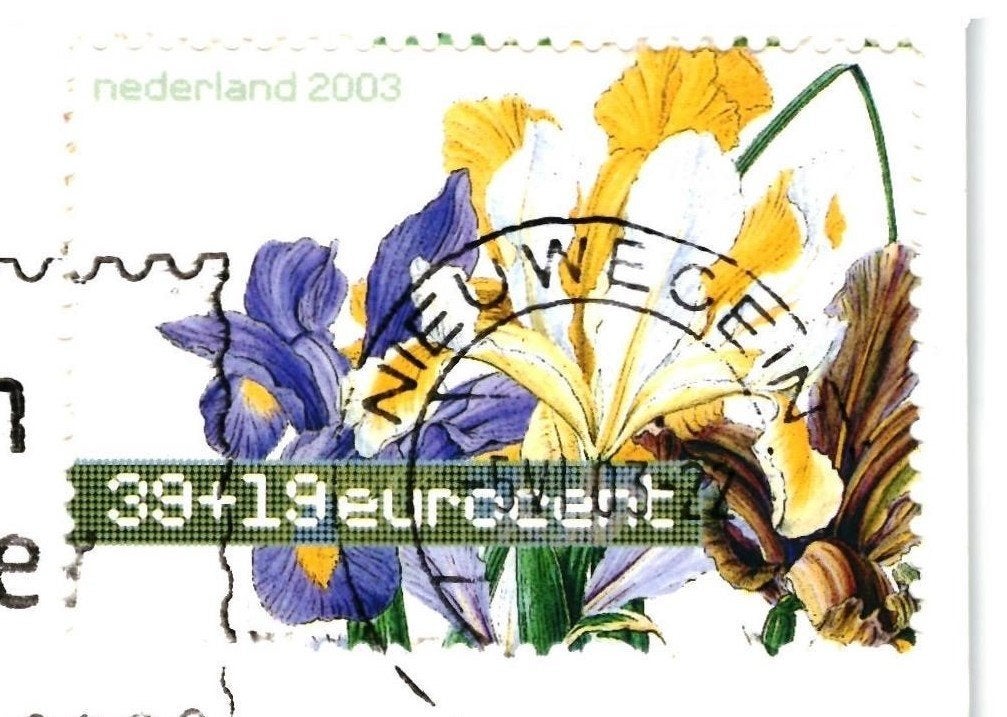 988234 Zeewolde 80+  Zomerpostzegels: Spaanse iris, Verzamelen, Ansichtkaarten | Nederland, Ophalen of Verzenden, 1980 tot heden