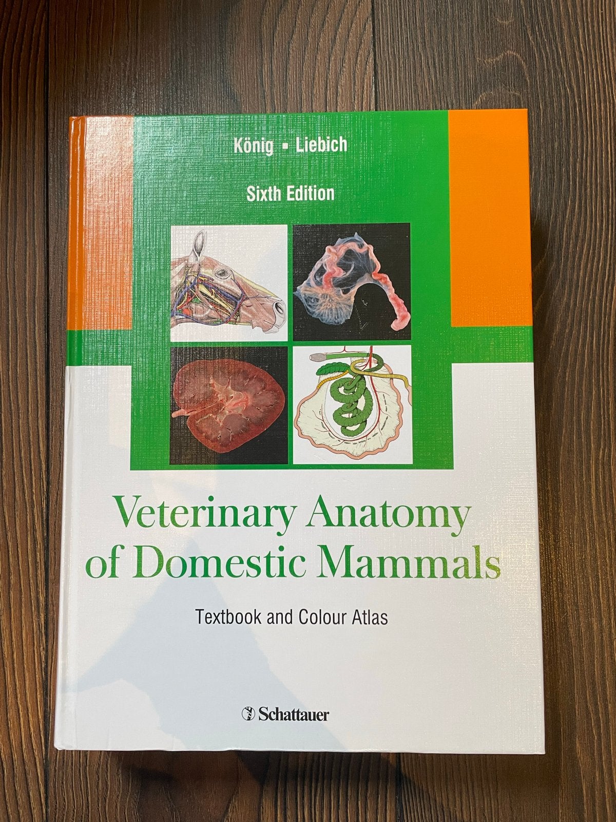 Veterinary Anatomy of Domestic Mammals - 6e editie, Verzenden, Beta, Nieuw, WO