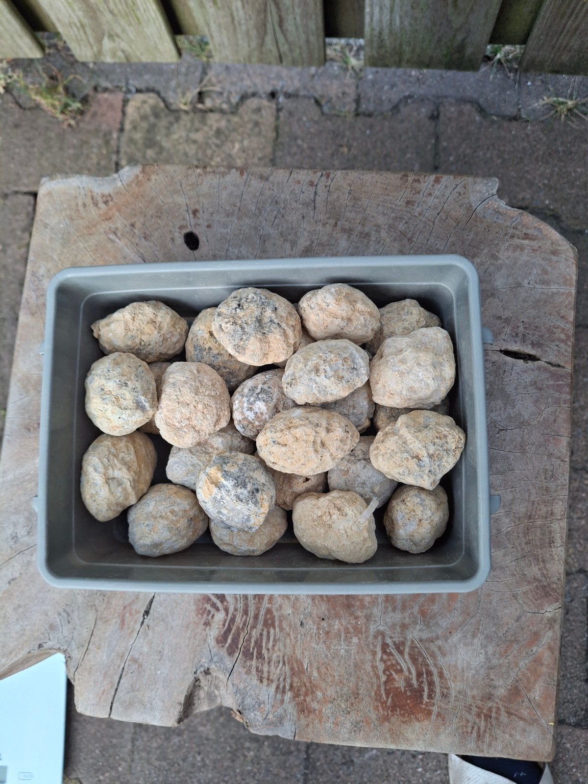 25 Geodes om zelf te kraken - Ontdek je eigen kristallen!, Ophalen of Verzenden, Mineraal
