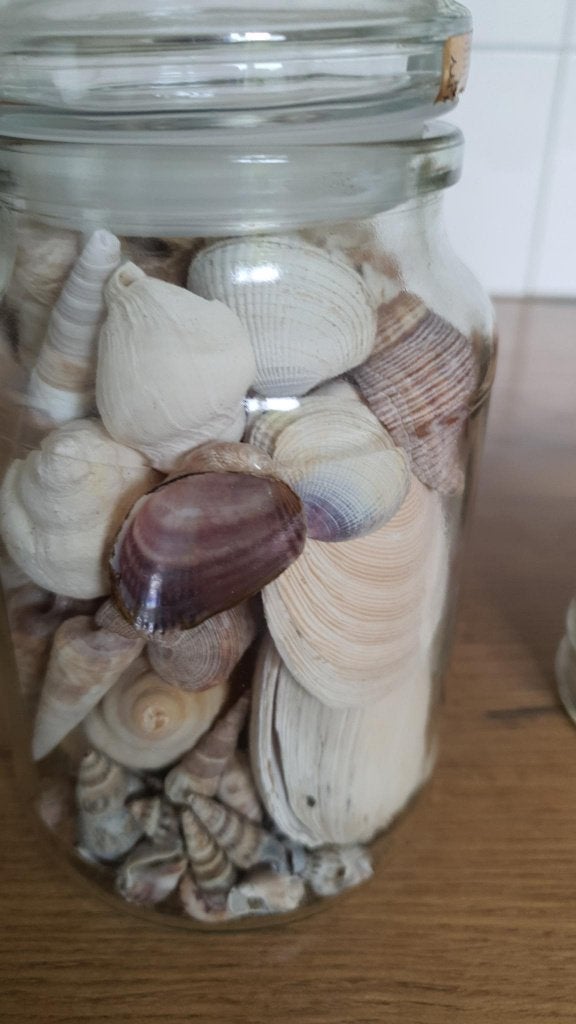 Twee potten met strand schelpen, Huis en Inrichting, Woonaccessoires | Overige, Ophalen, Zo goed als nieuw, Overige materialen