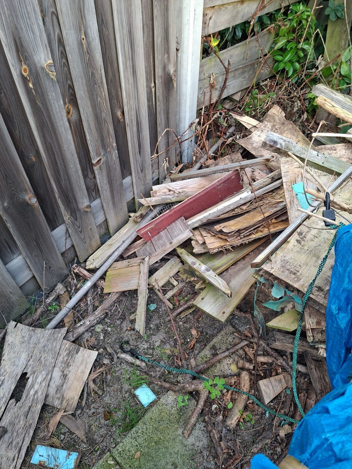 Gratis brandhout ophalen - diverse soorten, Ophalen, Overige houtsoorten, Takken