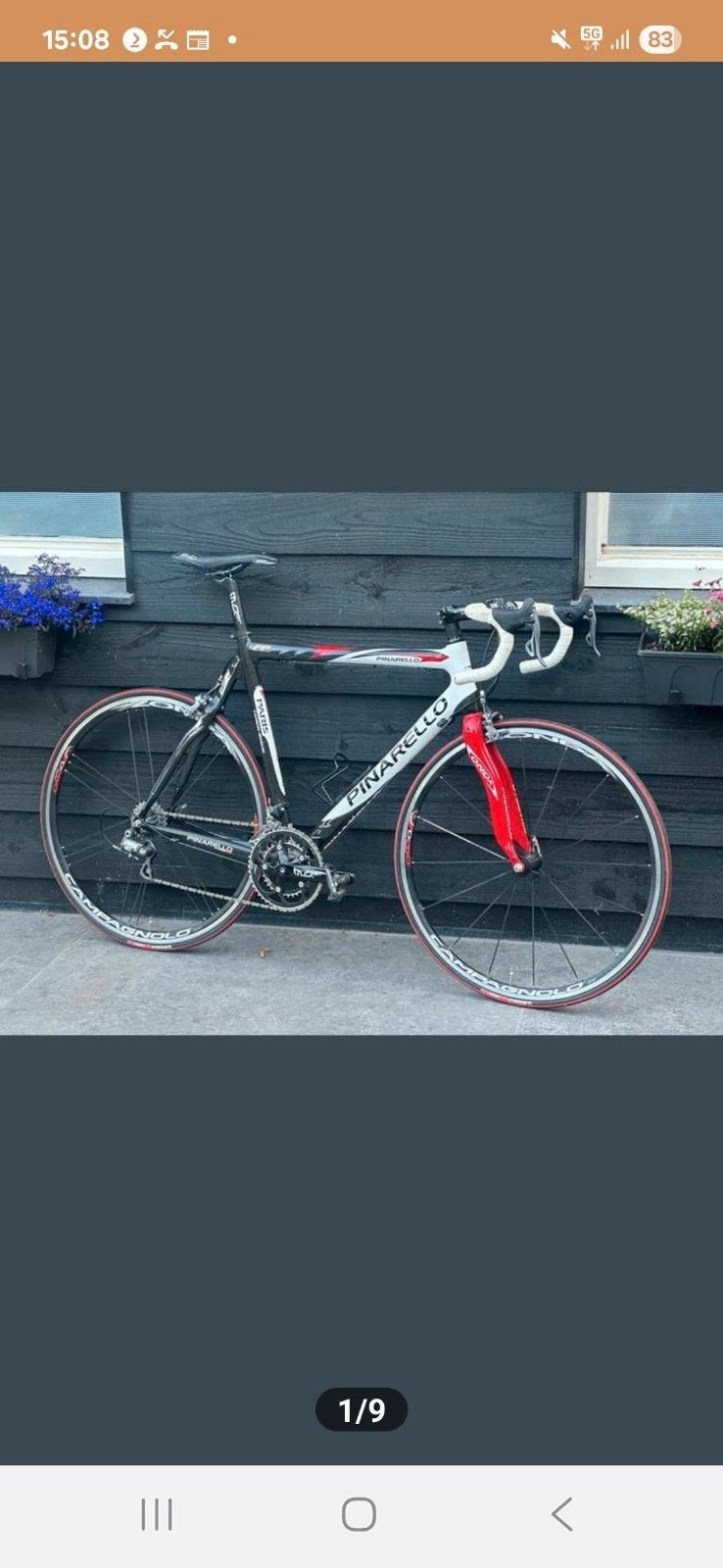 Pinarello racefiets, XL frame, 28 inch, Carbon, Zo goed als nieuw, Meer dan 20 versnellingen