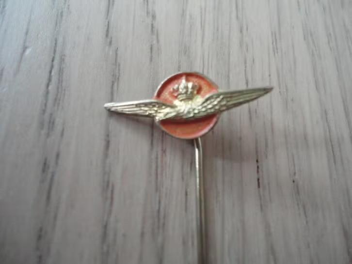 Speld Koninklijke Luchtmacht., Verzamelen, Verzenden, Zo goed als nieuw, Patch, Badge of Embleem