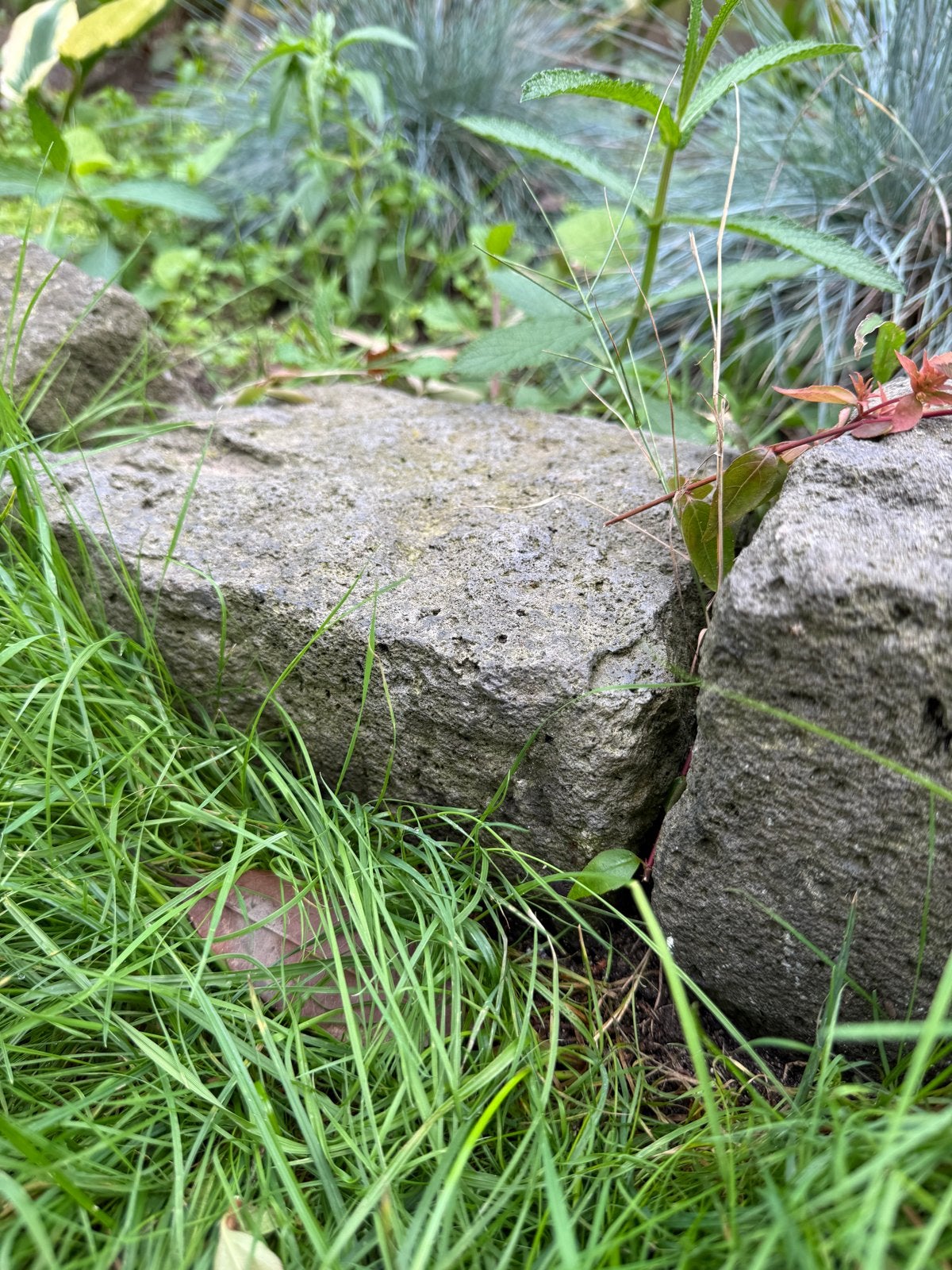 Natuurstenen - 40 stuks, diverse formaten, Tuin en Terras, Ophalen, Overige materialen, Gebruikt, Kei