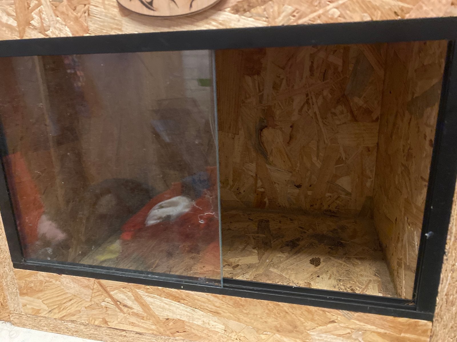 Terrariums, Ophalen
