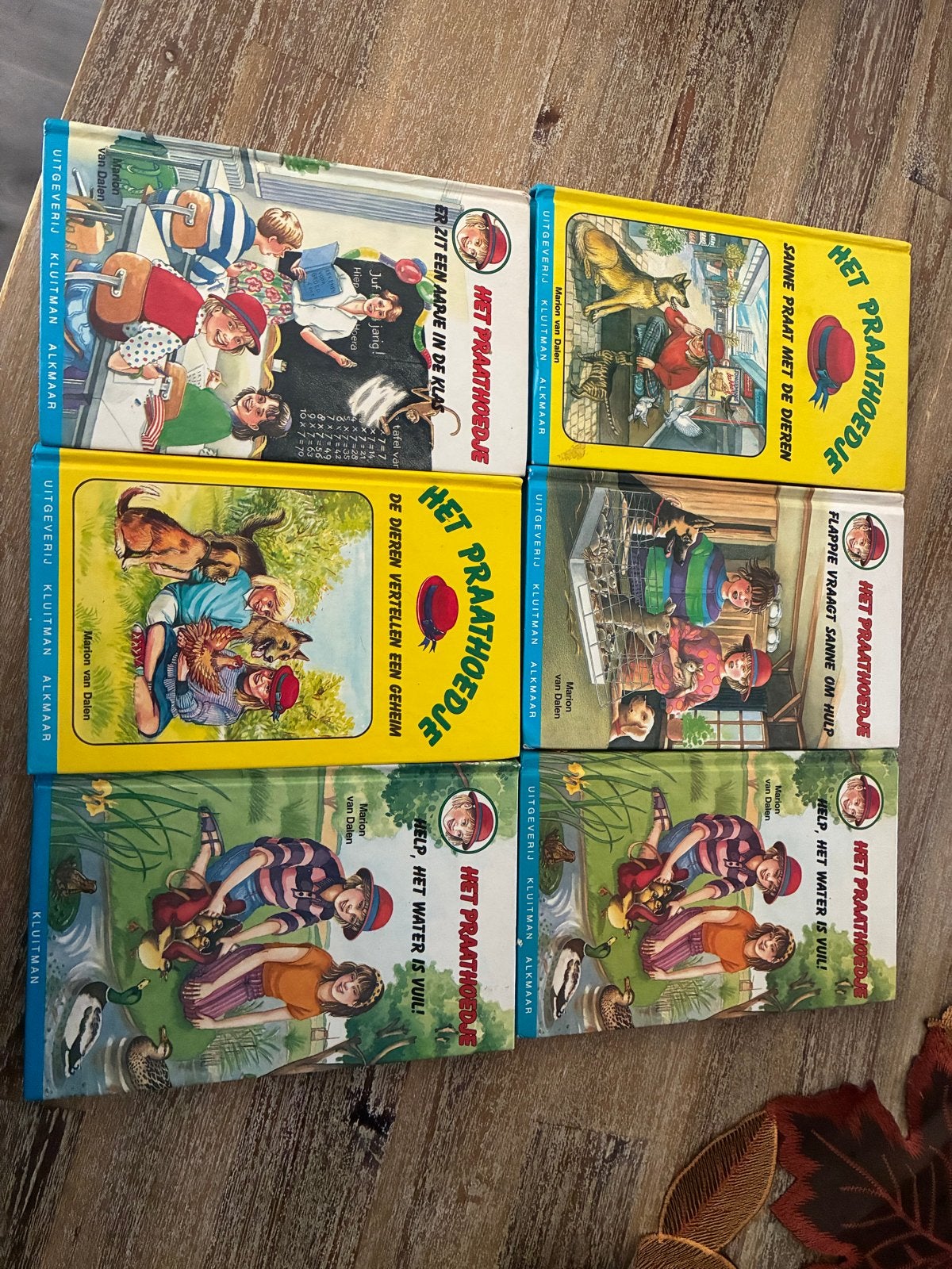 Het Praathoedje - 6-delige kinderboekenserie van Marion van, Ophalen of Verzenden, Gelezen, Fictie algemeen
