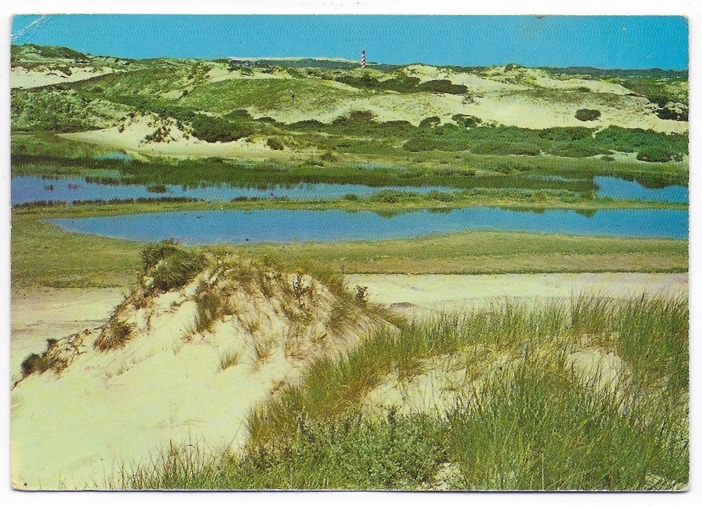 Burgh Haamstede stuifduinen Gelopen Ansichtkaart (B2730), Ophalen of Verzenden, 1980 tot heden, Gelopen