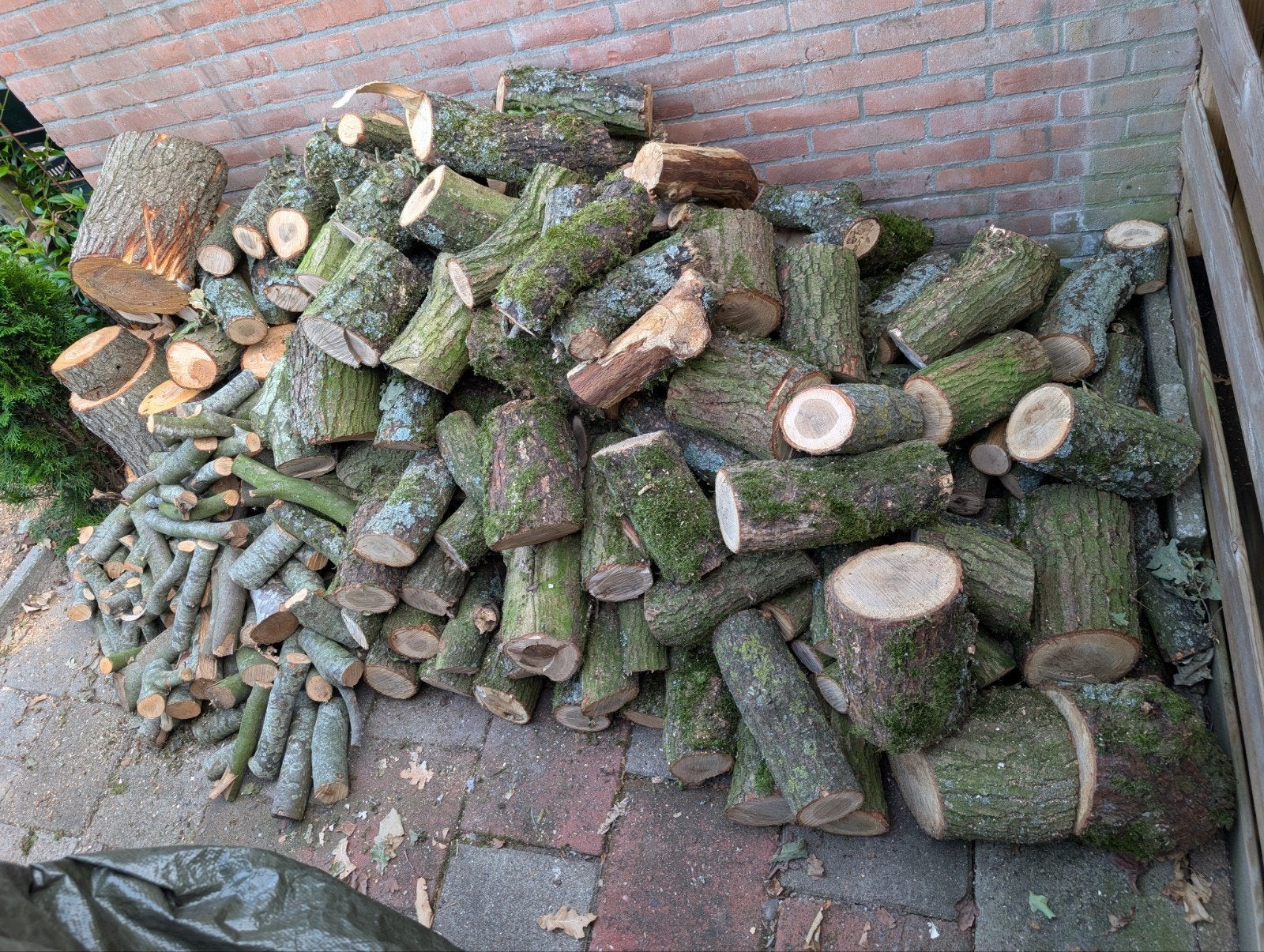Haard of vuurkorf hout, Minder dan 3 m³, Ophalen, Overige houtsoorten, Blokken