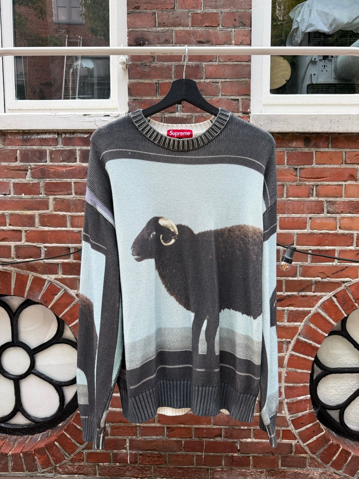 Supreme x Damien Hirst Sweater Maat M, Kleding | Heren, Truien en Vesten, Ophalen of Verzenden, Zo goed als nieuw, Maat 48/50 (M)