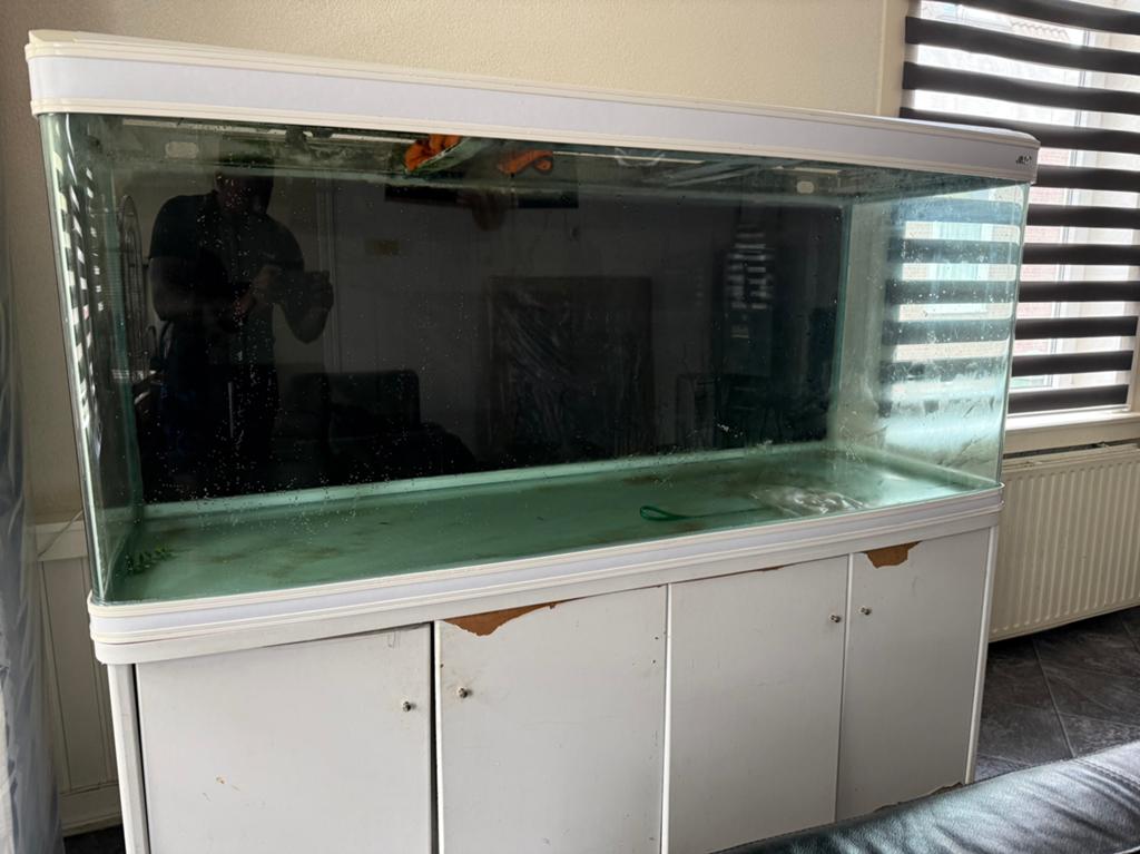Gratis ophalen Jad aquarium 180*65*75 900 liter, Dieren en Toebehoren, Vissen | Aquaria en Toebehoren, Zo goed als nieuw, Leeg aquarium