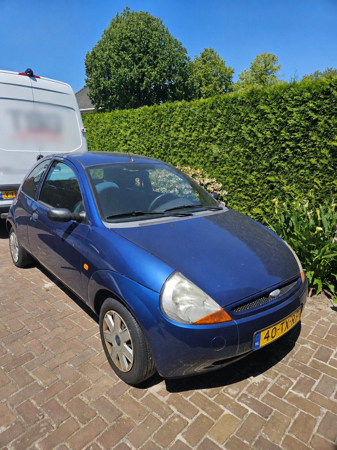 Ford Ka 1.3 Blauw - 1e eig/apk tot 02-27/ 150xxx, Auto's, Ford, Voorwielaandrijving, 1299 cc, 31 €/maand, 4 cilinders