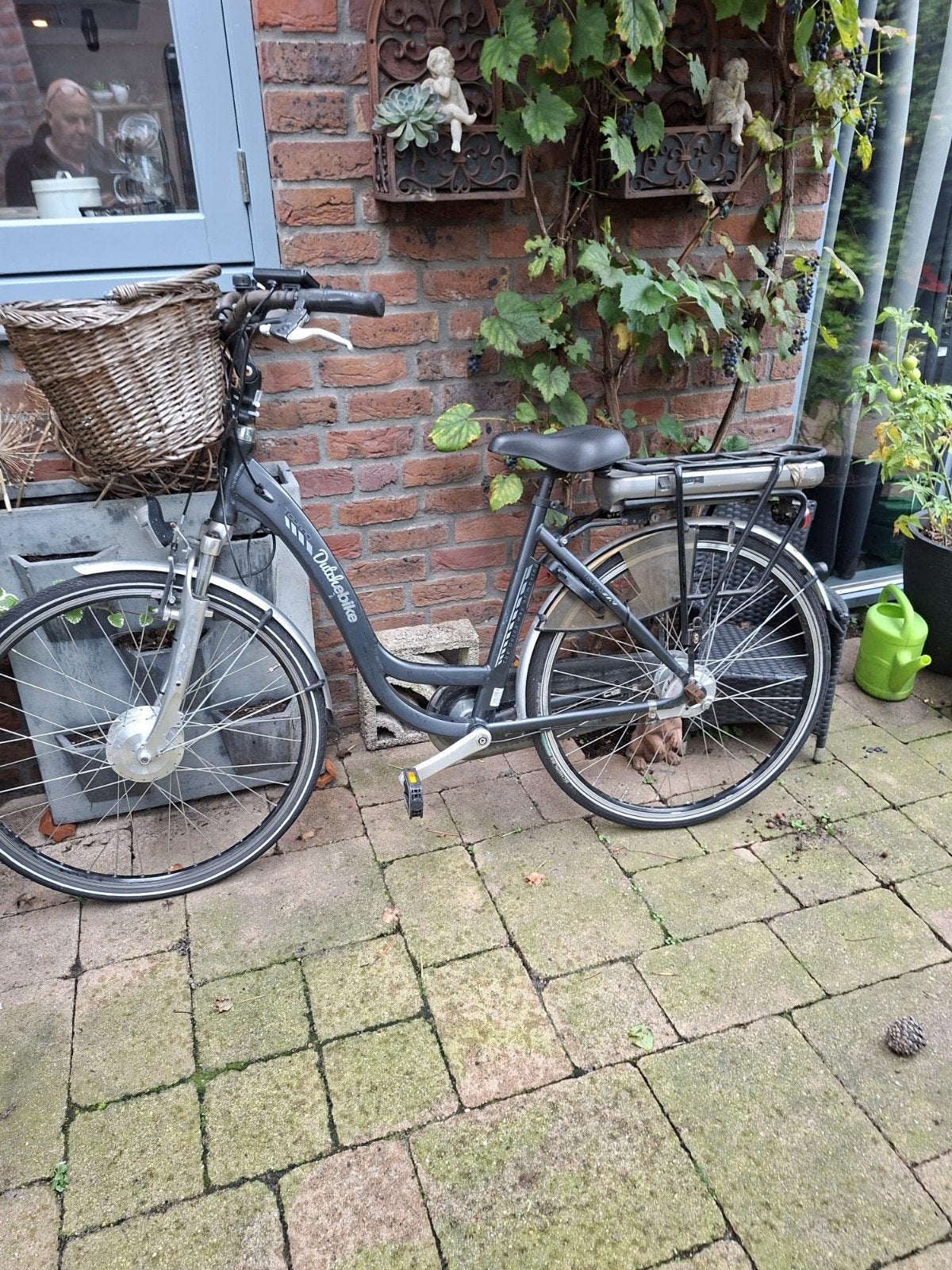 elektrische fiets, Ophalen, Overige merken