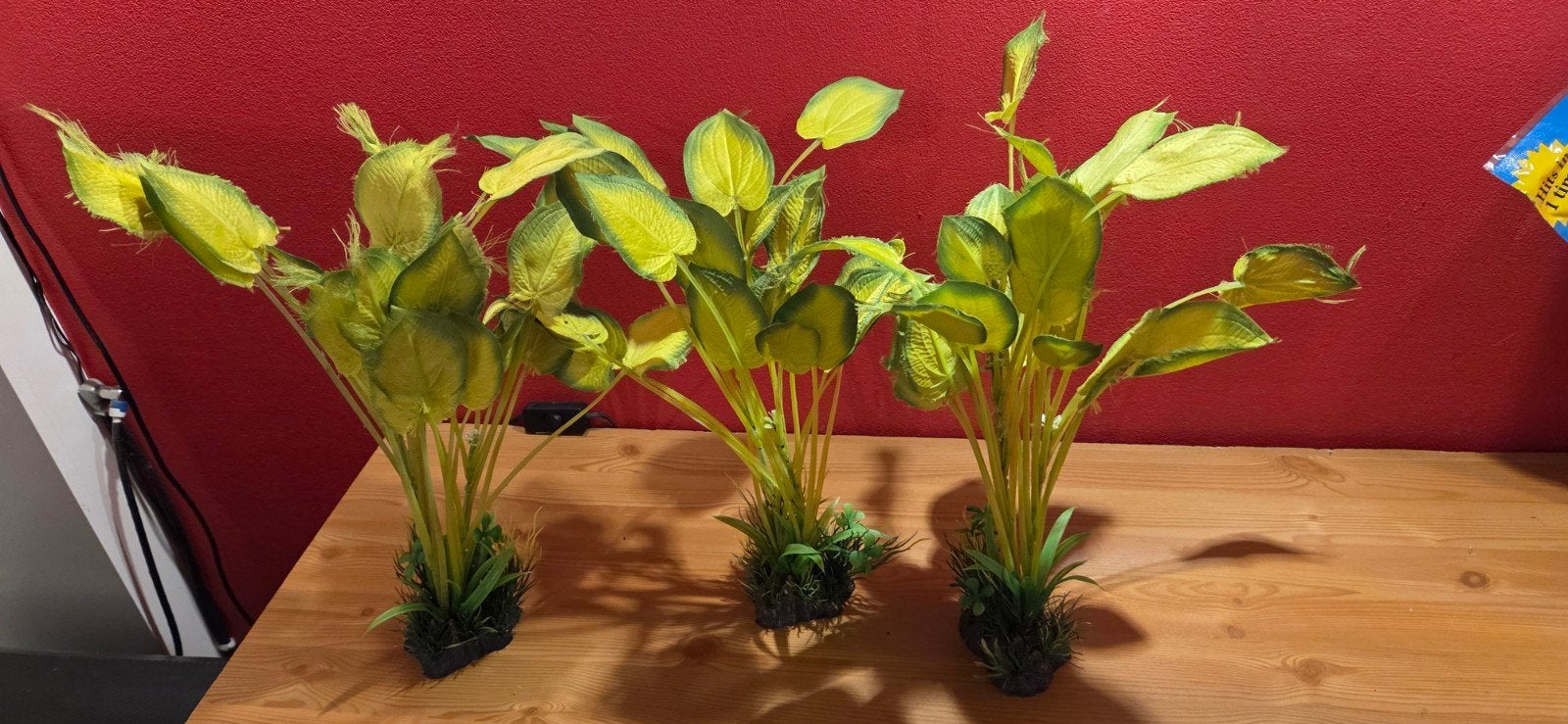 superfish aquarium plant 40 cm, Ophalen of Verzenden, Plant(en), Steen of Hout