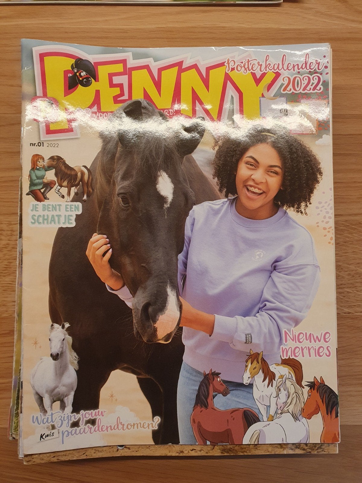 15 Penny's/paarden tijdschiften uit 2022, Boeken, Tijdschriften en Kranten, Ophalen of Verzenden, Zo goed als nieuw, Overige typen