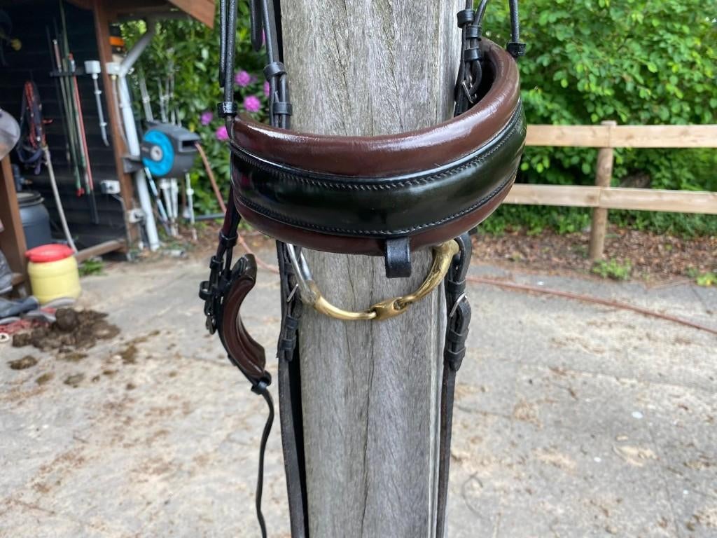 Tess Neusriem Annatomisch Wide, Dieren en Toebehoren, Paarden en Pony's | Hoofdstellen en Tuigage, Ophalen of Verzenden, Zo goed als nieuw