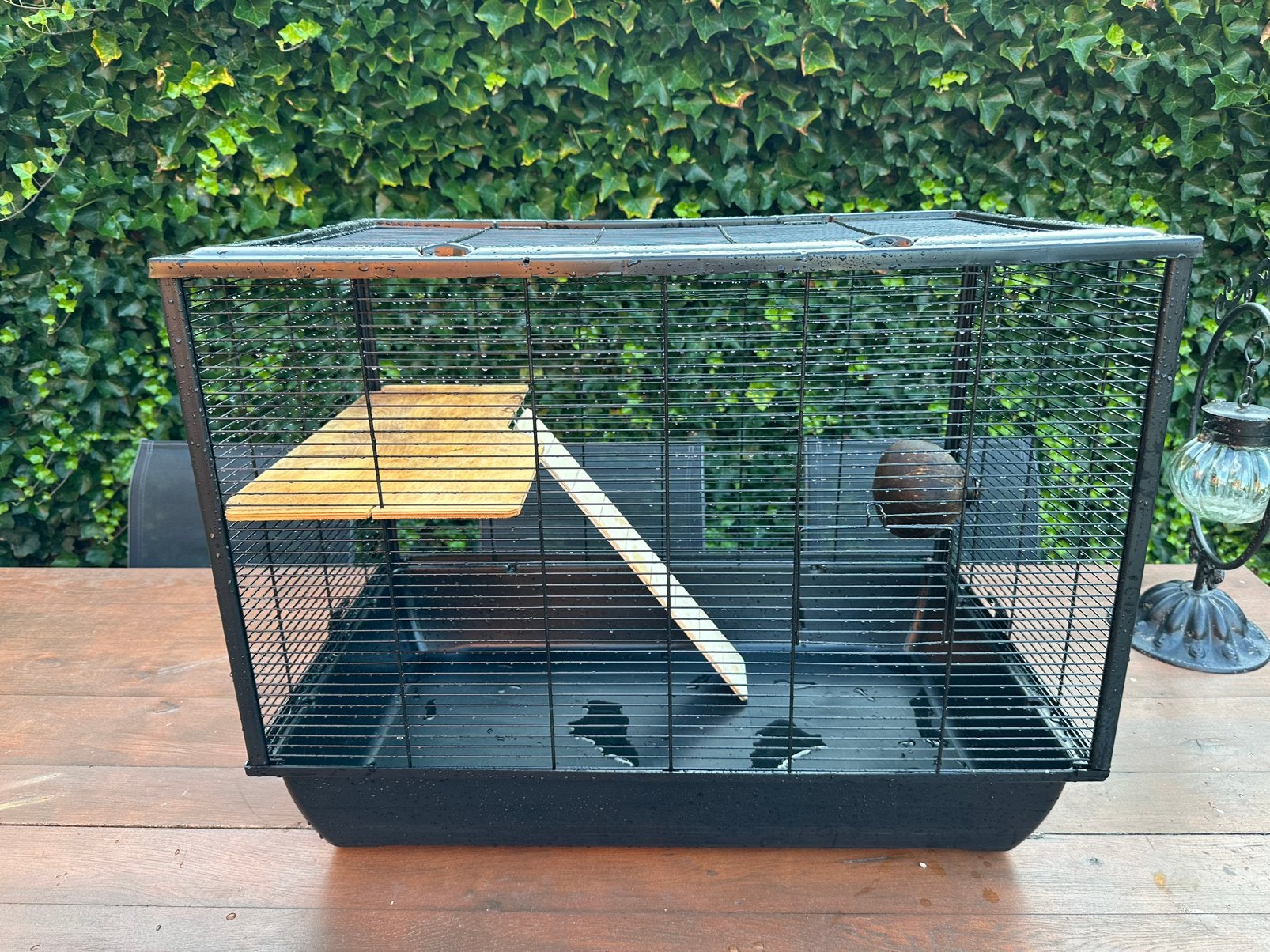Knaagdieren kooi, Dieren en Toebehoren, Knaagdieren en Konijnen | Hokken en Kooien, Kooi, 75 tot 110 cm, Ophalen, Minder dan 60 cm